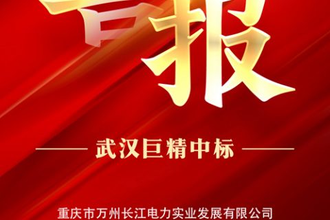 热烈祝贺杏鑫娱乐中标重庆市万州长江电力实业生长有限公司2022年第十批物资非招标采购项目