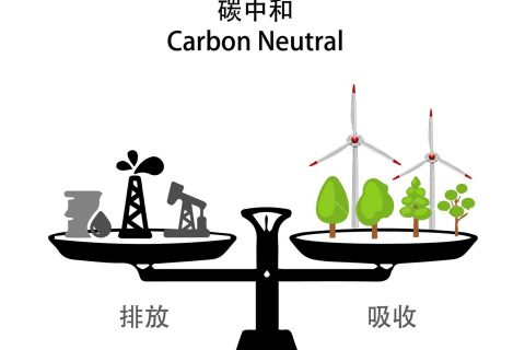 落实双碳行动 共建美丽家园——杏鑫娱乐“双碳”允许