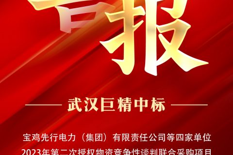 热烈祝贺杏鑫娱乐中标宝鸡先行电力（集团）有限责任公司等四家单位2023年第二次授权物资竞争性谈判联合采购项目